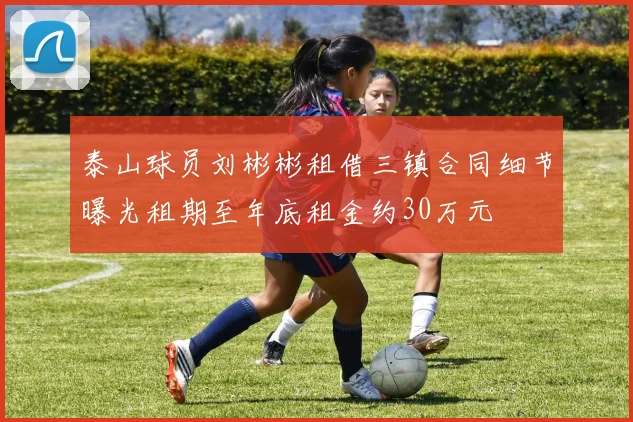 泰山球员刘彬彬租借三镇合同细节曝光租期至年底租金约30万元