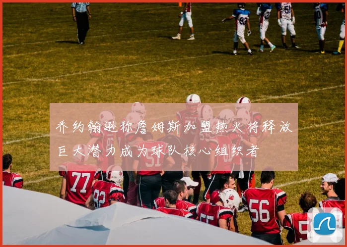 乔约翰逊称詹姆斯加盟热火将释放巨大潜力成为球队核心组织者